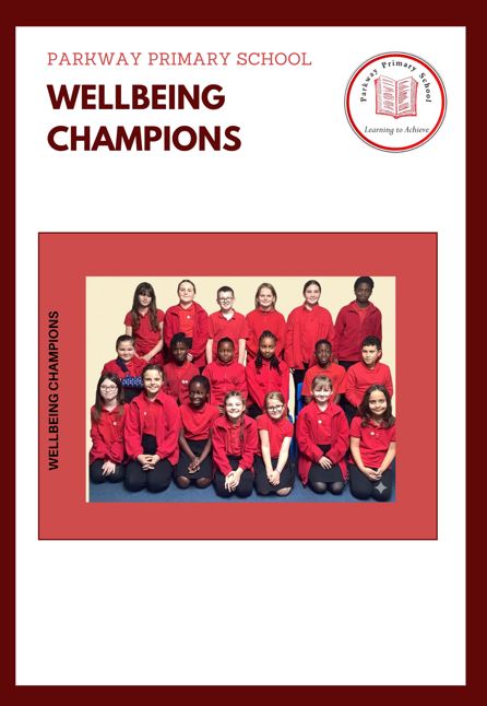 Wellbeing Champions